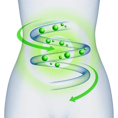 Metoclopramide Hcl Metoclopramide Hcl