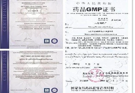 Aminophenylbutyric Acid Aminophenylbutyric Acid